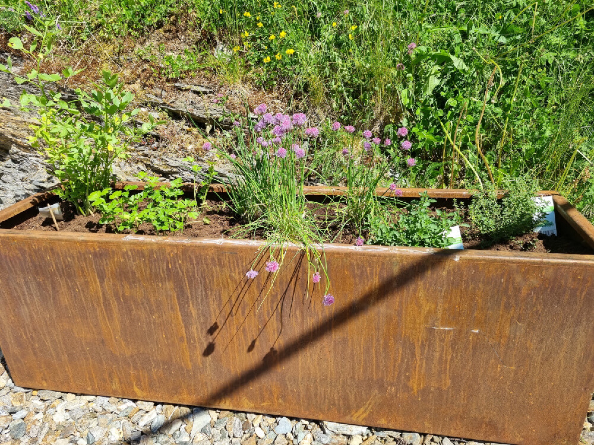 Bergchalet Englhof - 