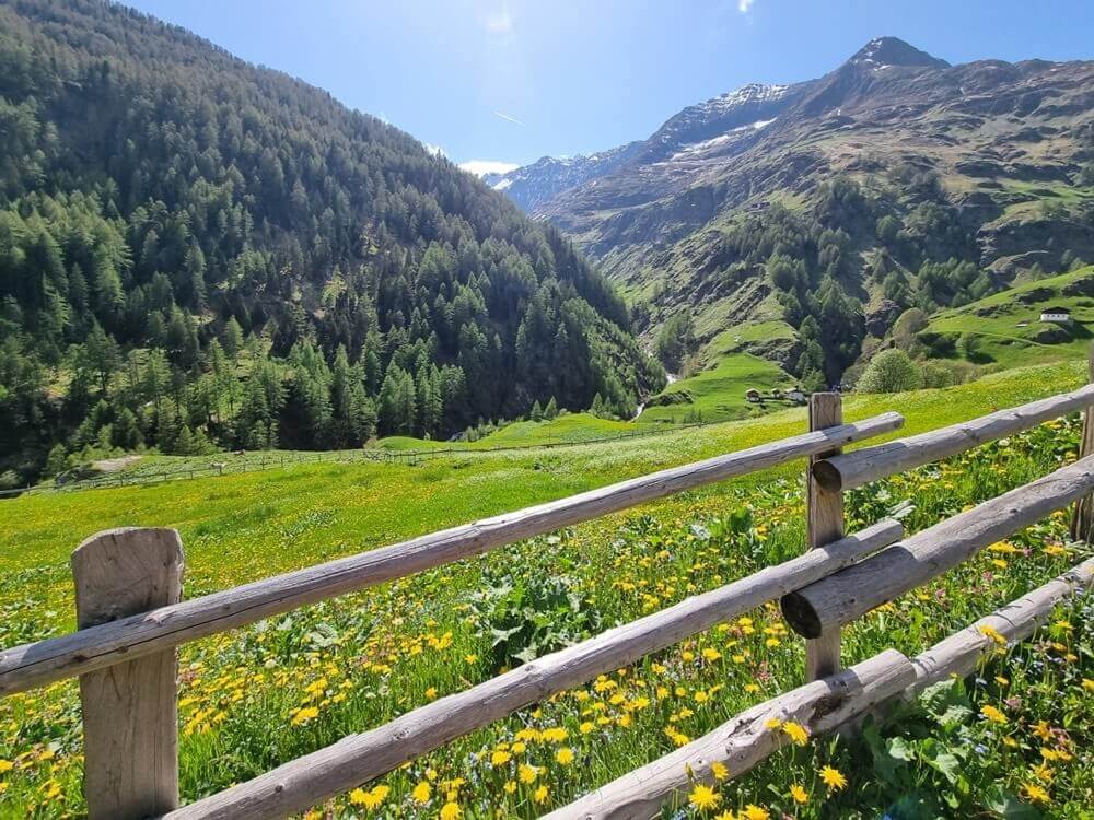 Bergchalet Englhof - Aussicht