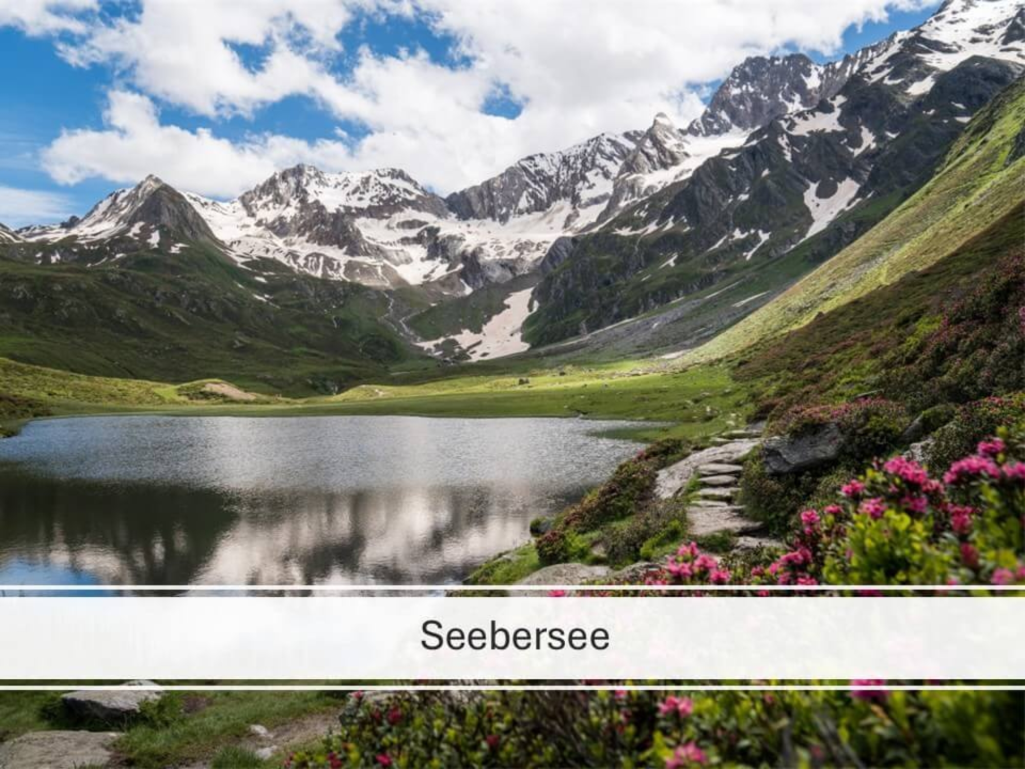 Bergchalet Englhof - 